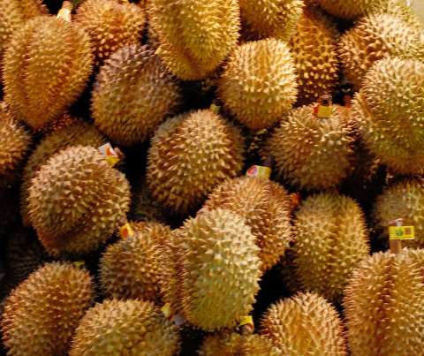 http://ervakurniawan.files.wordpress.com/2011/01/durian-king-of-fruits.jpg