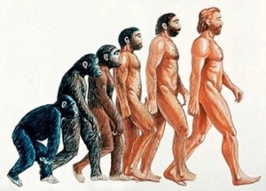 teori evolusi